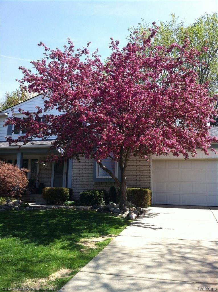 2784 Winter Park Road Rochester, MI 48309 - Photo 51 of 63 photo 2.JPG