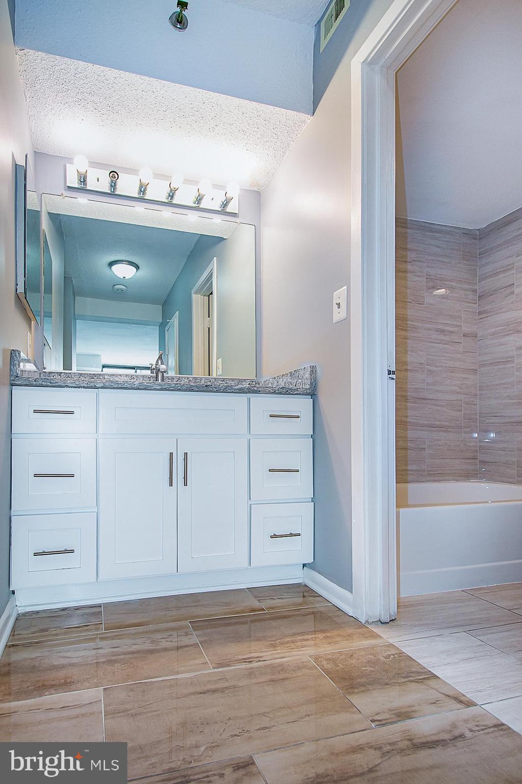 5505 Seminary Road, Unit 1003N Falls Church, VA 22041 - Photo 13 of 27 Separate Vanity from toilet/tub/shower area.