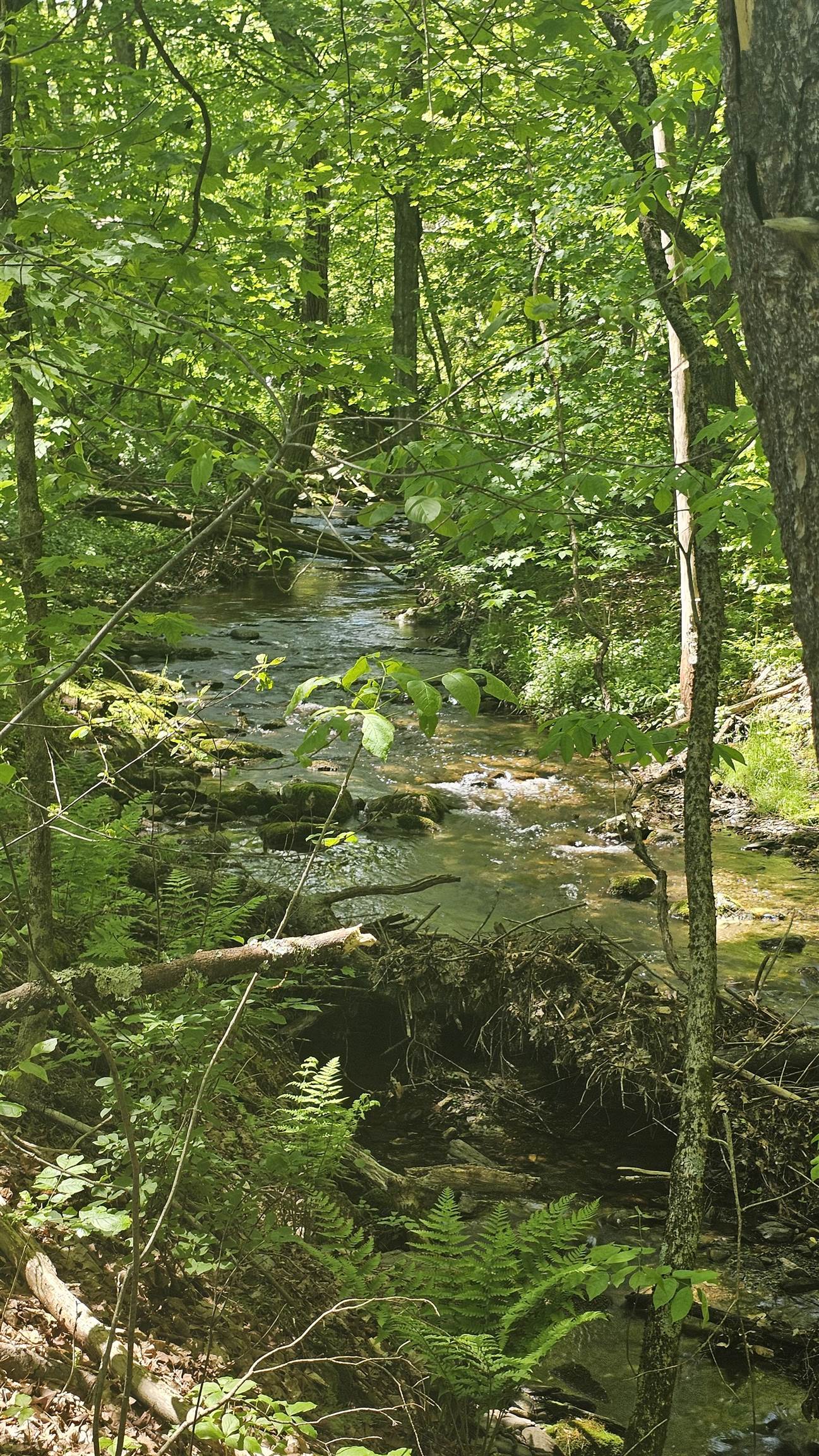 116 Newcomb Road Westminster, VT 05346 - Photo 11 of 11