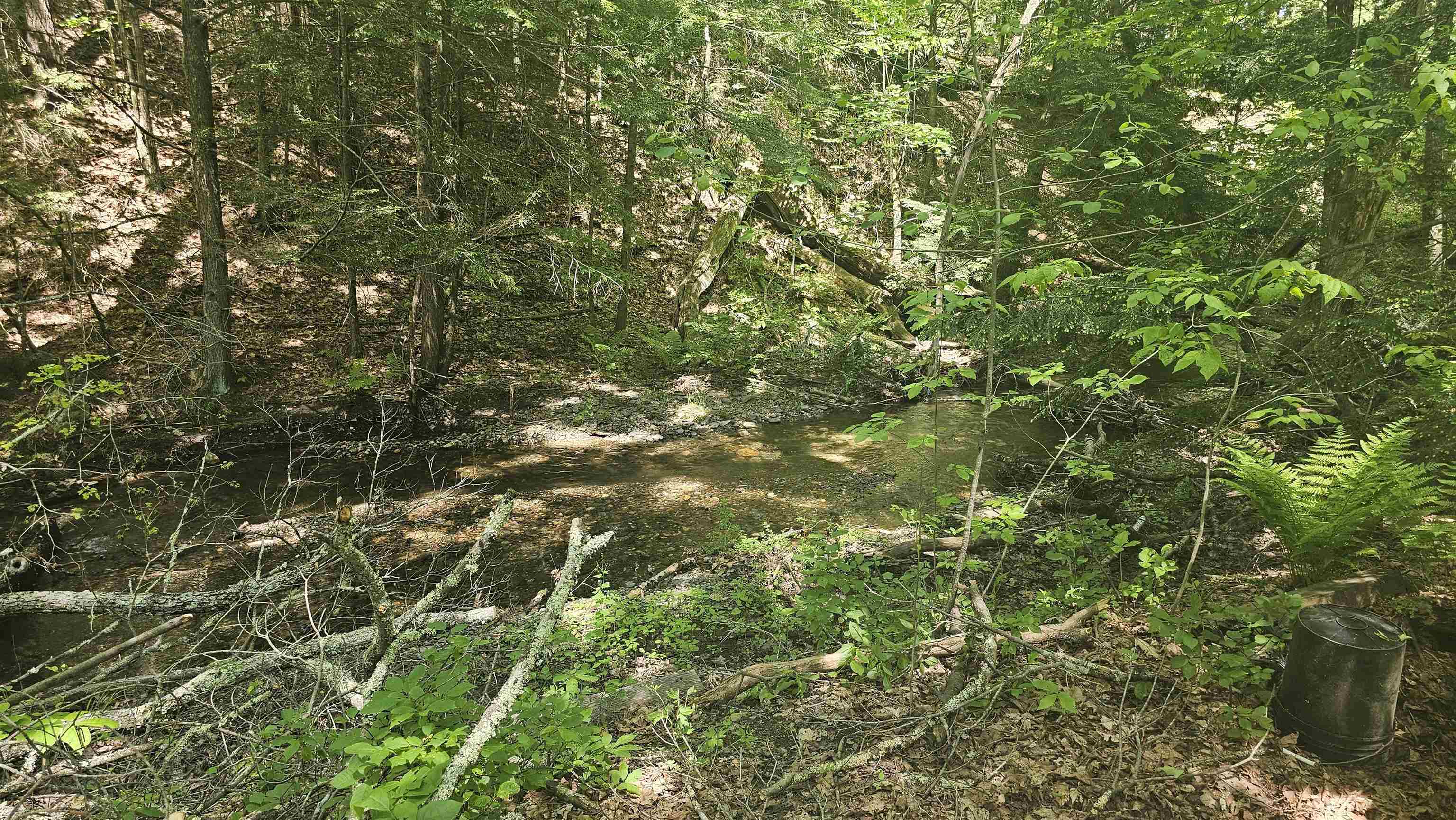 116 Newcomb Road Westminster, VT 05346 - Photo 7 of 11