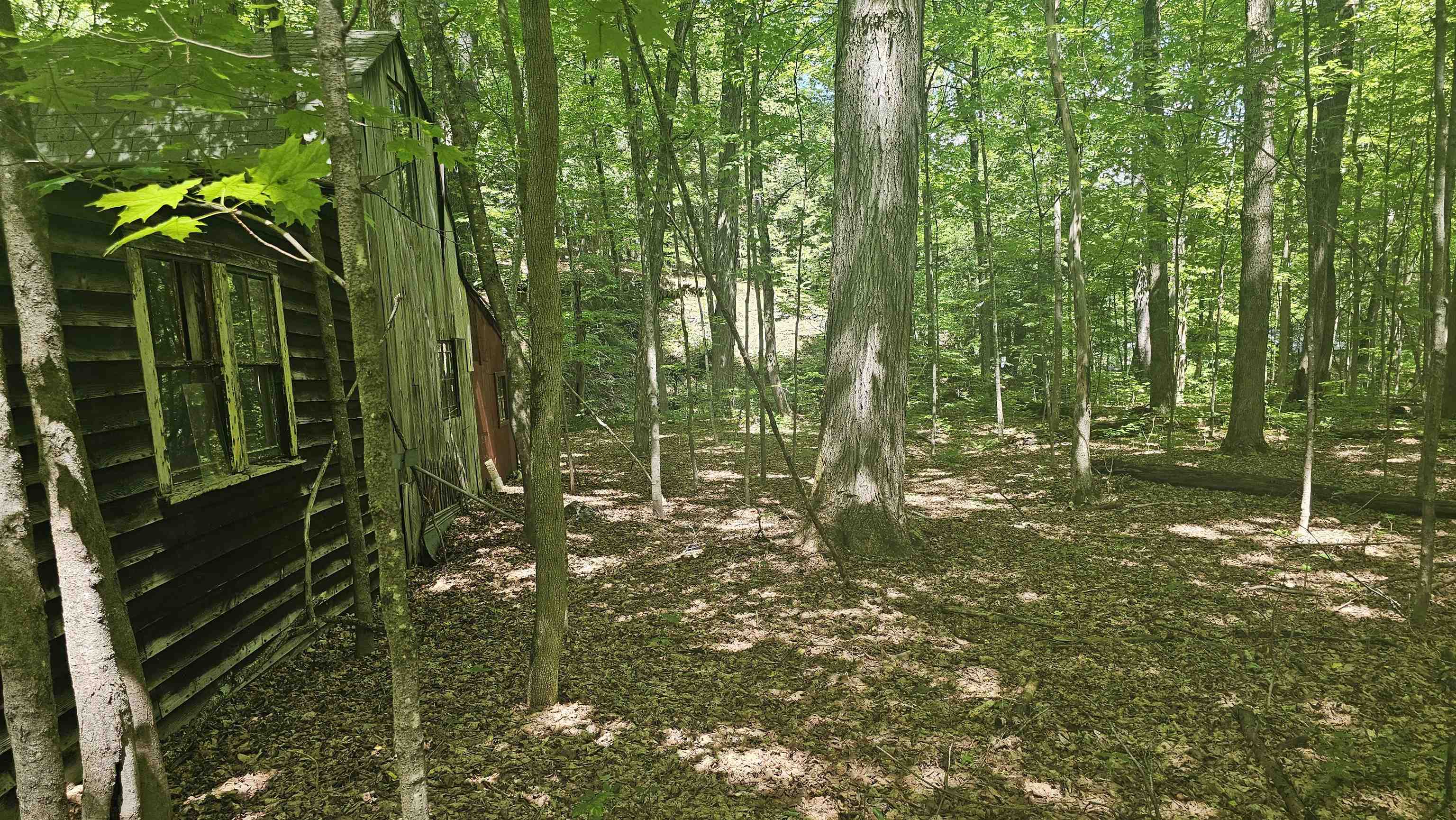 116 Newcomb Road Westminster, VT 05346 - Photo 8 of 11