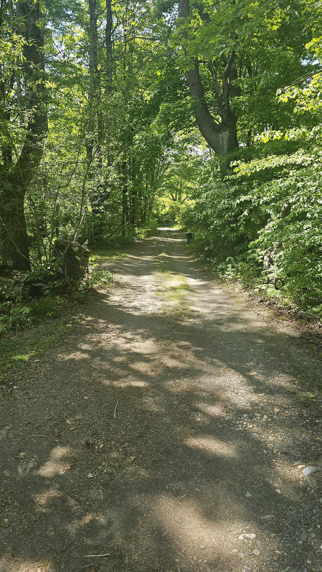 116 Newcomb Road Westminster, VT 05346 - Photo 10 of 11