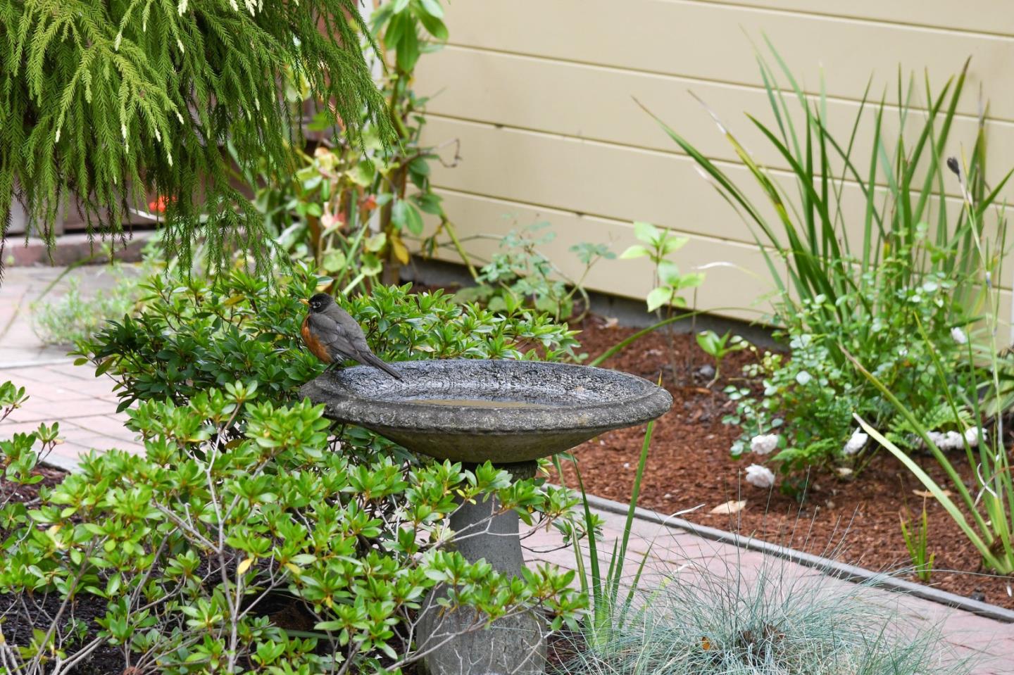 1106 Grand Street Alameda, CA 94501 - Photo 89 of 100