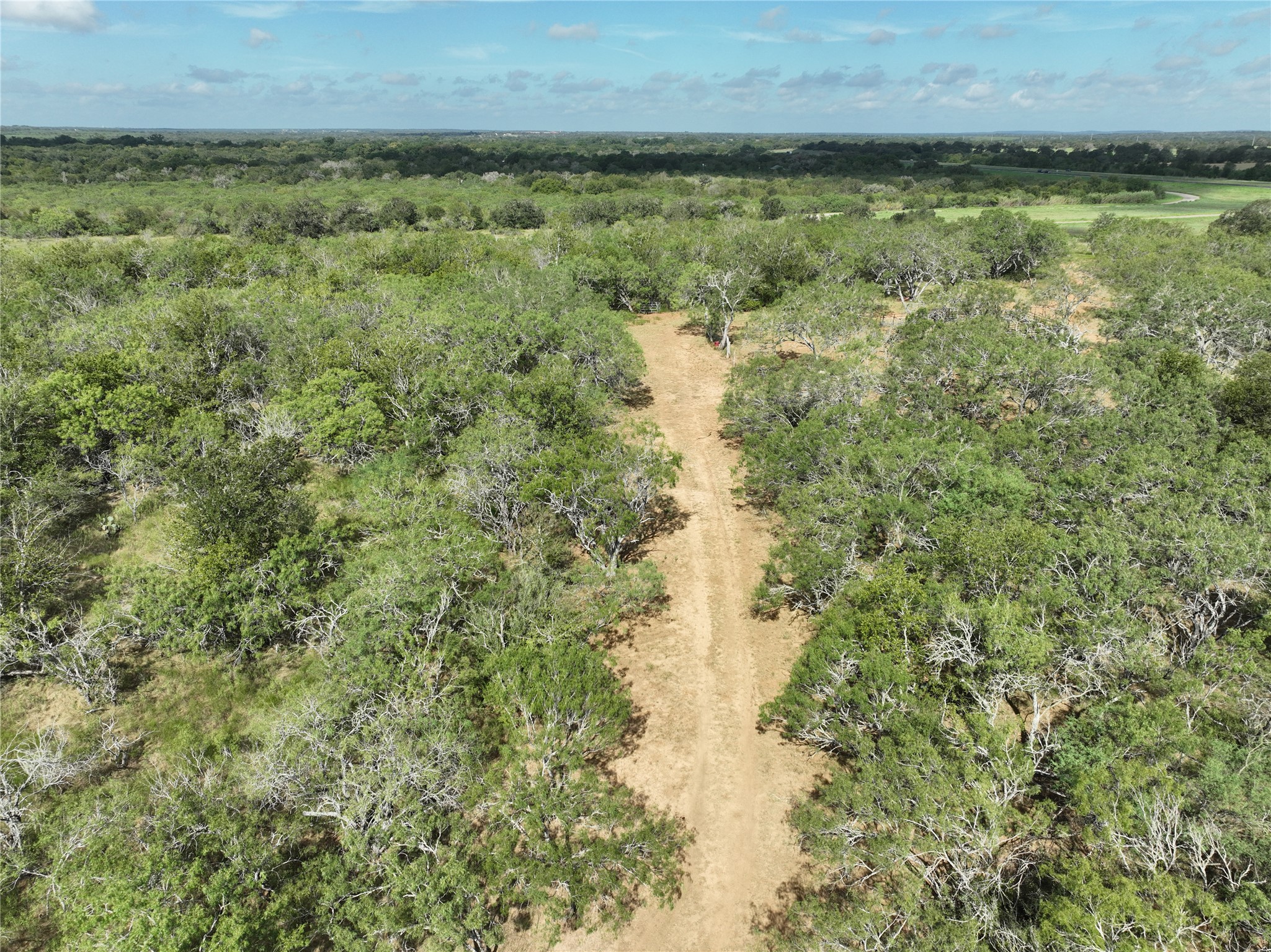 424 Rd Waelder Tx 78629 Road Waelder, TX 78959 - Photo 12 of 25 Aerial view
