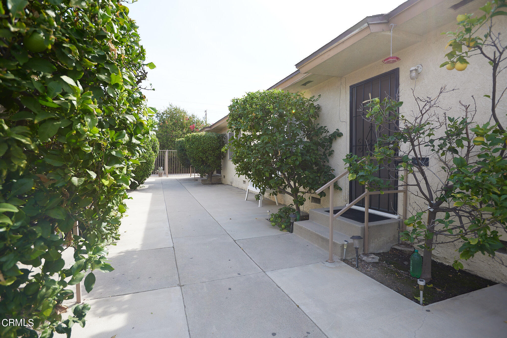 10520 Myrtle Street Downey, CA 90241 - Photo 4 of 8 a view of a backyard with potted plants