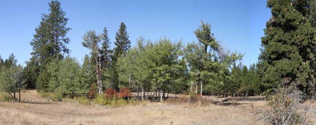 0 Stentz Road, Unit PARCEL B Spokane, WA 99201 - Photo 1 of 4