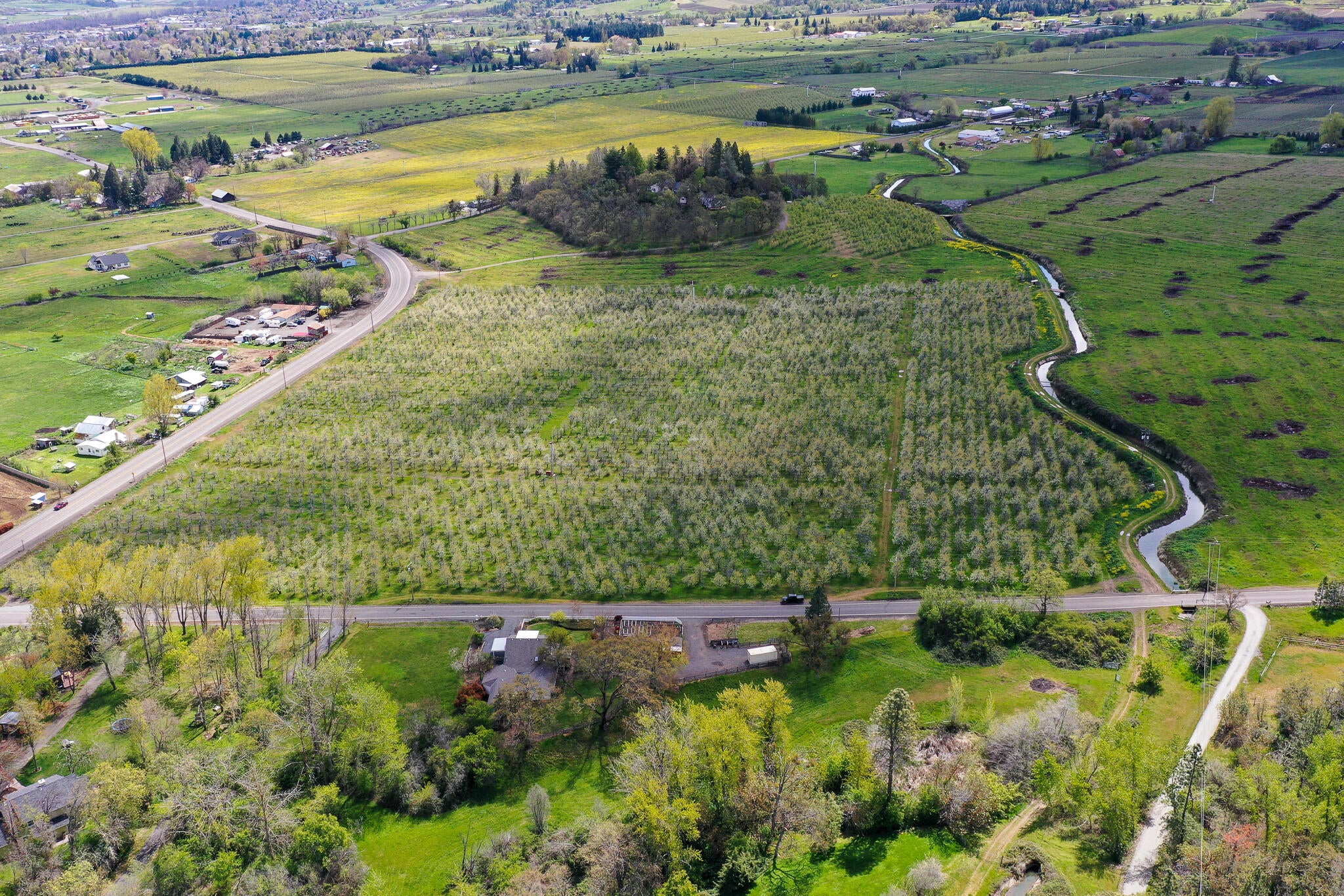5510 Adams Road Talent, OR 97540 - Photo 4 of 59 DJI_0829