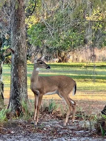 $3,270 | 8557 Southeast Retreat Drive, Hobe Sound, FL 33455