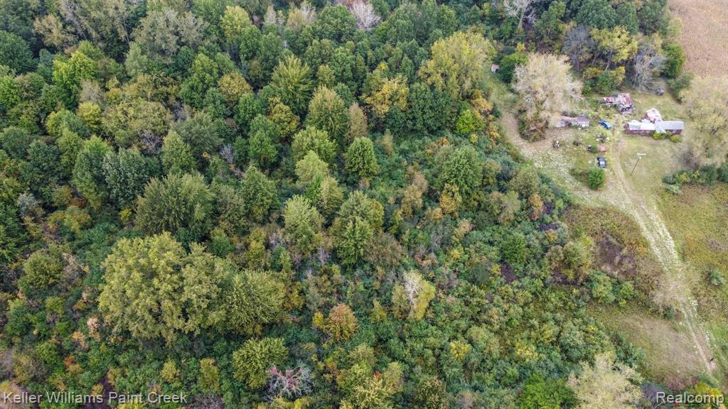 10870 Hoffman Road Maybee, MI 48159 - Photo 12 of 13
