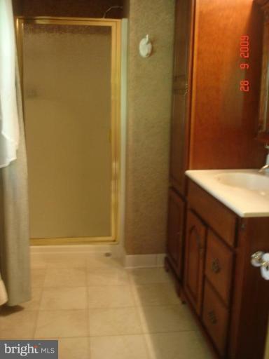 3805 Houcks Road Monkton, MD 21111 - Photo 11 of 29 a bathroom with a sink and a mirror