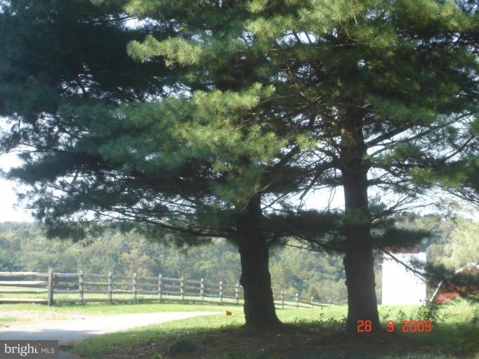 3805 Houcks Road Monkton, MD 21111 - Photo 20 of 29 a view of a yard