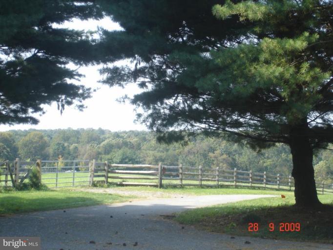3805 Houcks Road Monkton, MD 21111 - Photo 21 of 29 a view of a yard