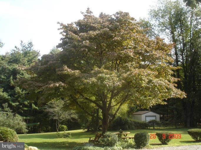 3805 Houcks Road Monkton, MD 21111 - Photo 24 of 29 a view of a houses with yard and trees