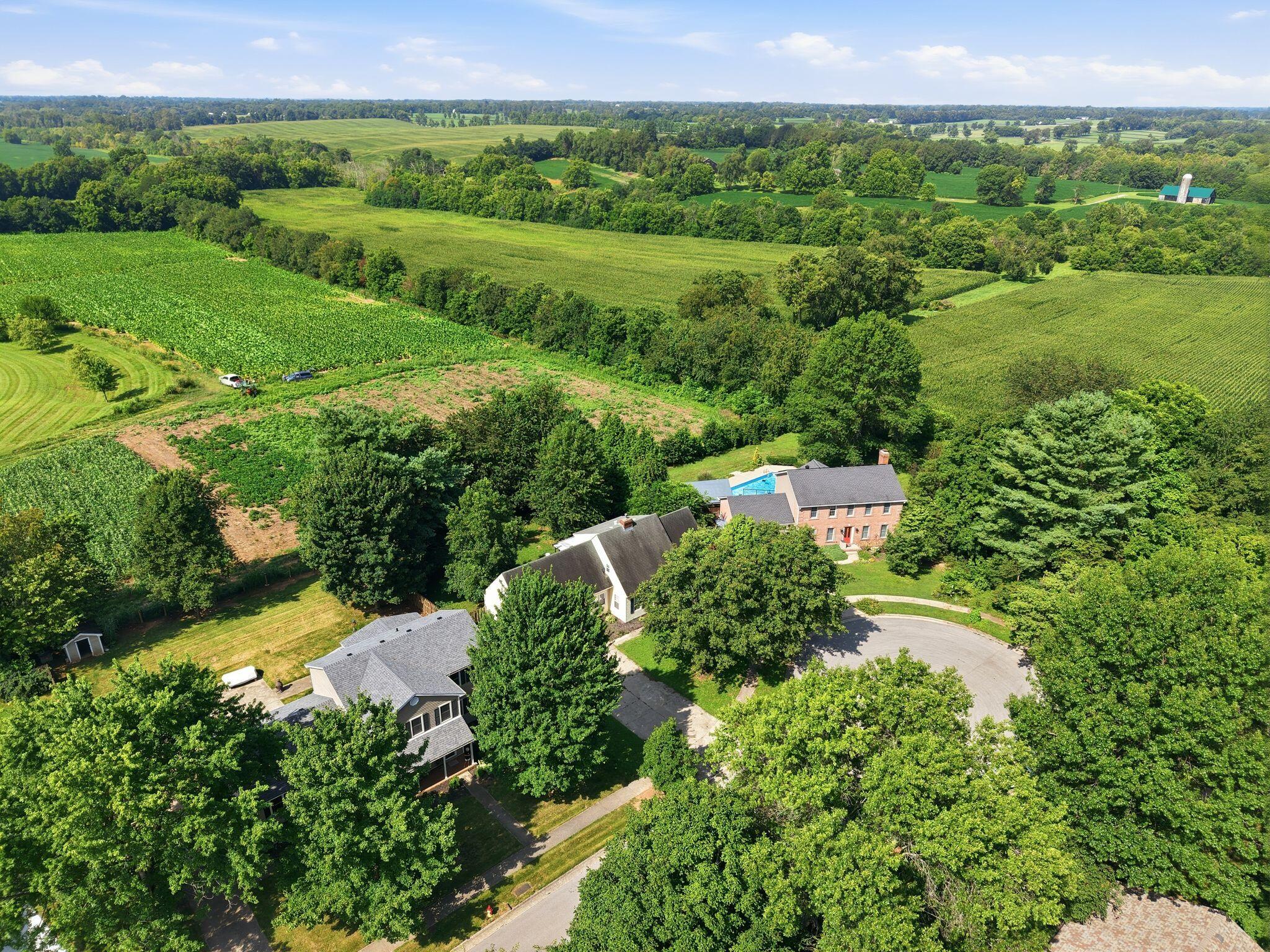 419 Mill Road Midway, KY 40347 - Photo 44 of 53 1_dji_20260718225233_0276_d