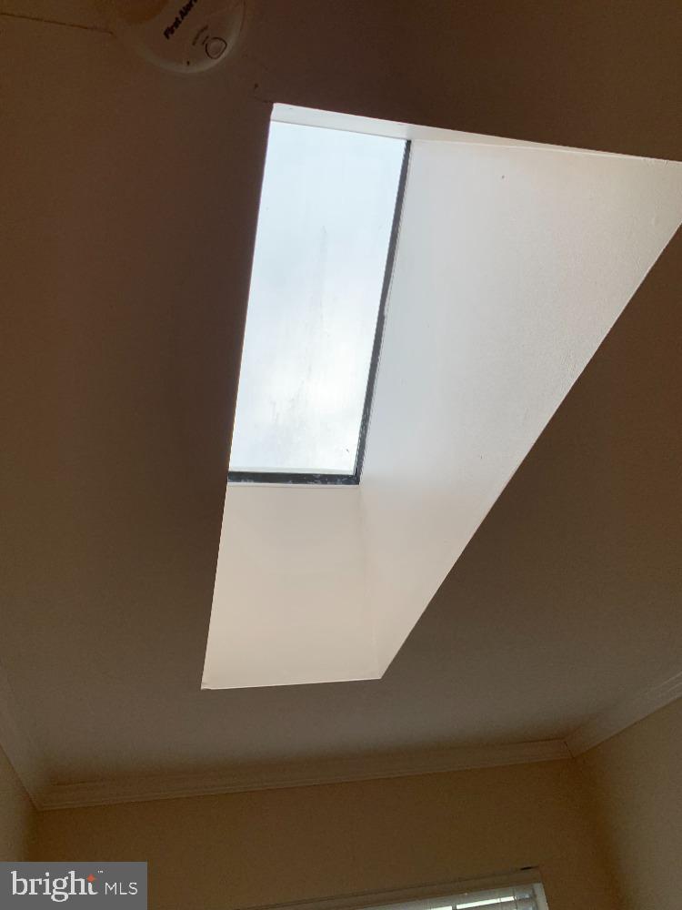 1607 Ingram Terrace Silver Spring, MD 20906 - Photo 15 of 39 Beautiful Upper Hall Skylight!