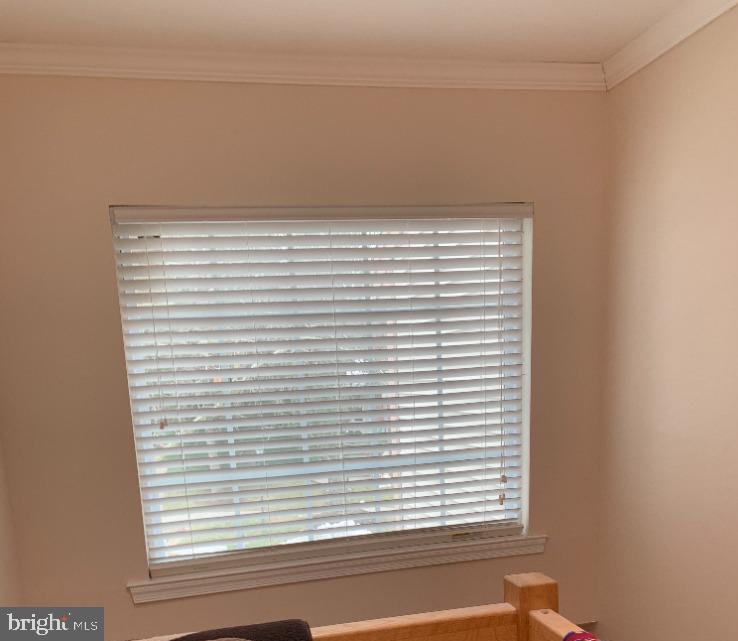 1607 Ingram Terrace Silver Spring, MD 20906 - Photo 16 of 39 Huge Upper Hallway Window!