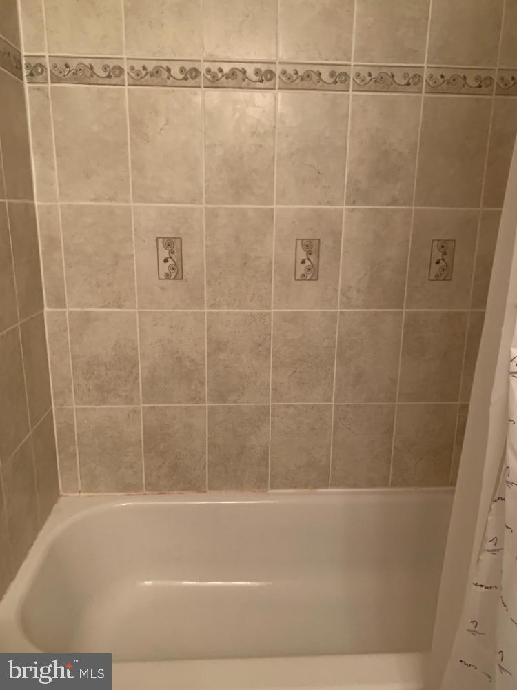 1607 Ingram Terrace Silver Spring, MD 20906 - Photo 21 of 39 Owner's EnSuite Bath (Tub/Shower)