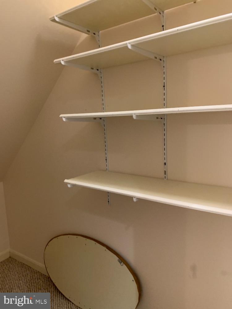 1607 Ingram Terrace Silver Spring, MD 20906 - Photo 36 of 39 Lots of storage!