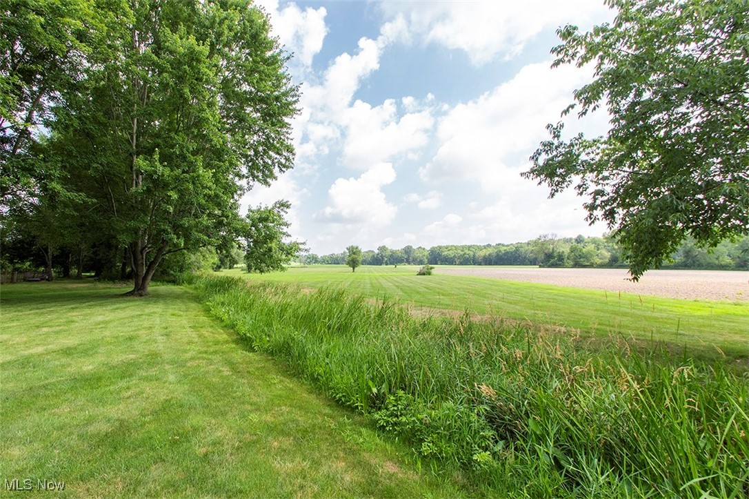 5859 Buffham Road Seville, OH 44273 - Photo 32 of 34 View of grassy yard with a view of countryside