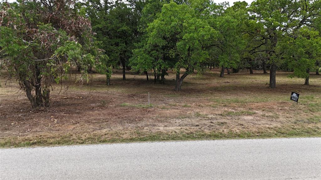 1895 Sunflower Road, Unit LOT 2 Paradise, TX 76073 - Photo 20 of 25 a view of a tree in the middle of a yard