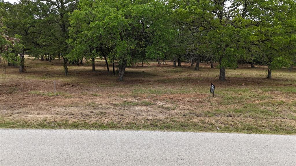 1895 Sunflower Road, Unit LOT 2 Paradise, TX 76073 - Photo 21 of 25 a view of outdoor space with trees