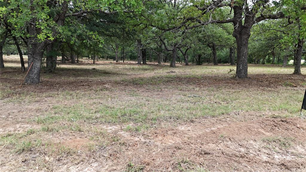 1895 Sunflower Road, Unit LOT 2 Paradise, TX 76073 - Photo 22 of 25 a view of a yard with a tree