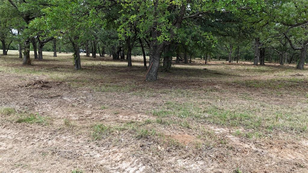 1895 Sunflower Road, Unit LOT 2 Paradise, TX 76073 - Photo 23 of 25 a view of outdoor space with trees