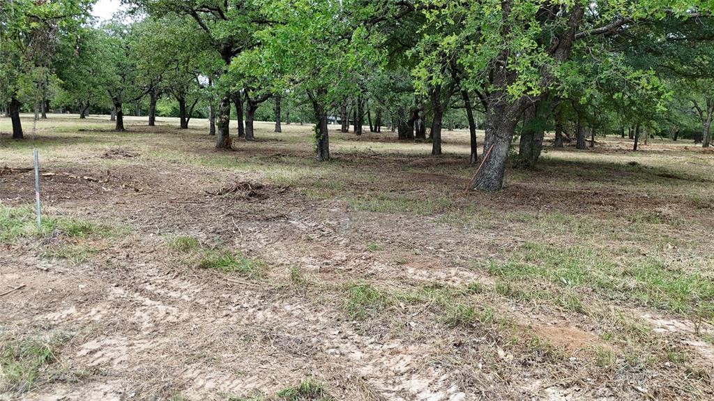 1895 Sunflower Road, Unit LOT 2 Paradise, TX 76073 - Photo 24 of 25 a view of outdoor space with trees