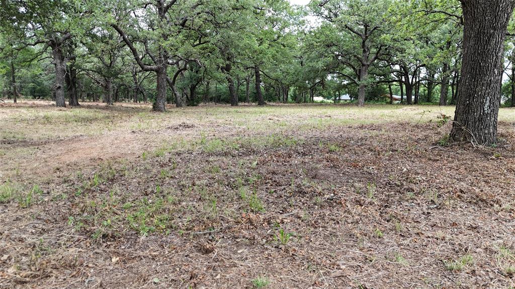 1895 Sunflower Road, Unit LOT 2 Paradise, TX 76073 - Photo 25 of 25 a view of a yard with a tree