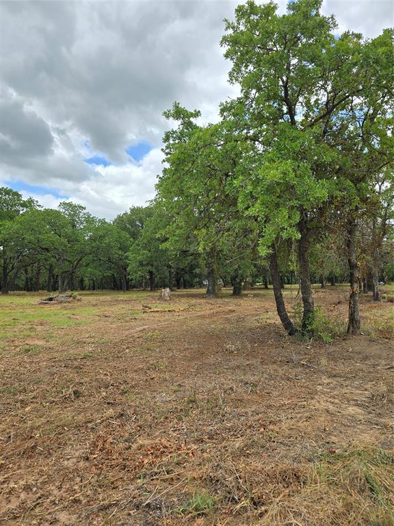 1895 Sunflower Road, Unit LOT 2 Paradise, TX 76073 - Photo 3 of 25 a view of a field with an trees