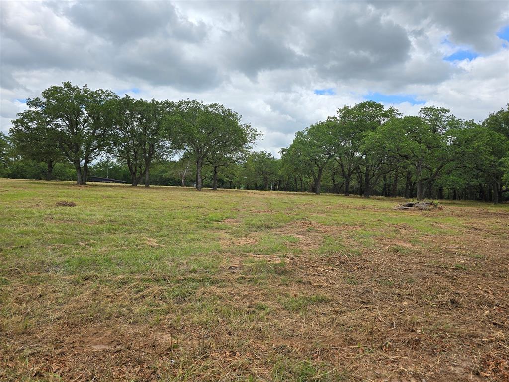 1895 Sunflower Road, Unit LOT 2 Paradise, TX 76073 - Photo 4 of 25 a view of a field with trees in the background