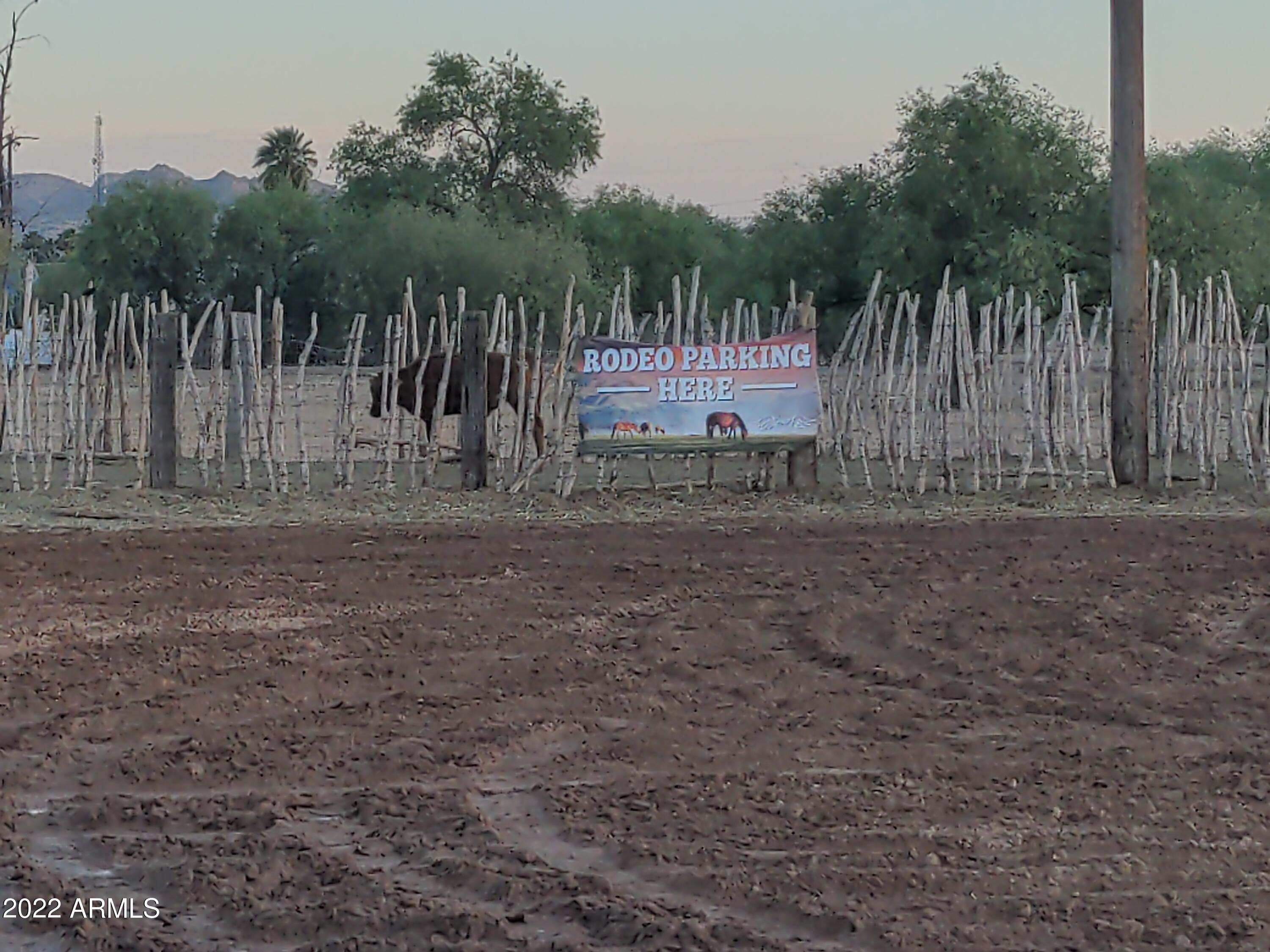 212 North Apache Road Buckeye, AZ 85326 - Photo 50 of 67 IMG_20220419_184939