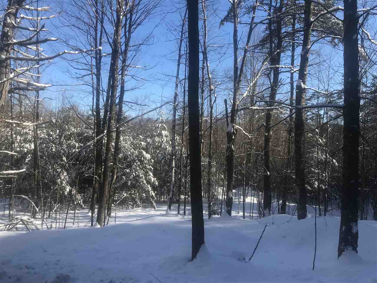 River Road Bath, NH 03740 - Photo 1 of 4