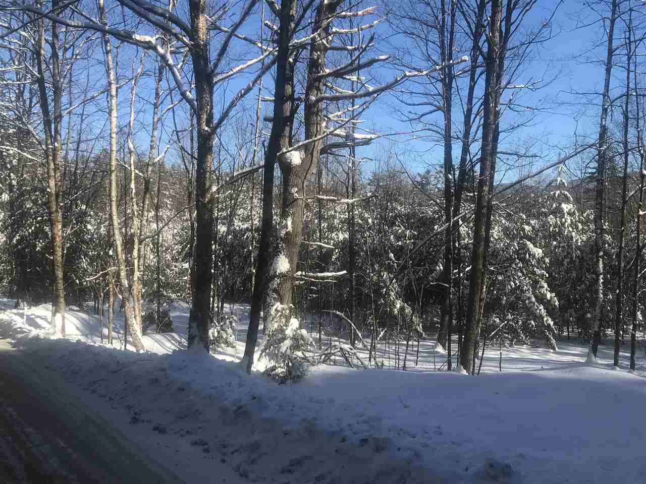 River Road Bath, NH 03740 - Photo 2 of 4