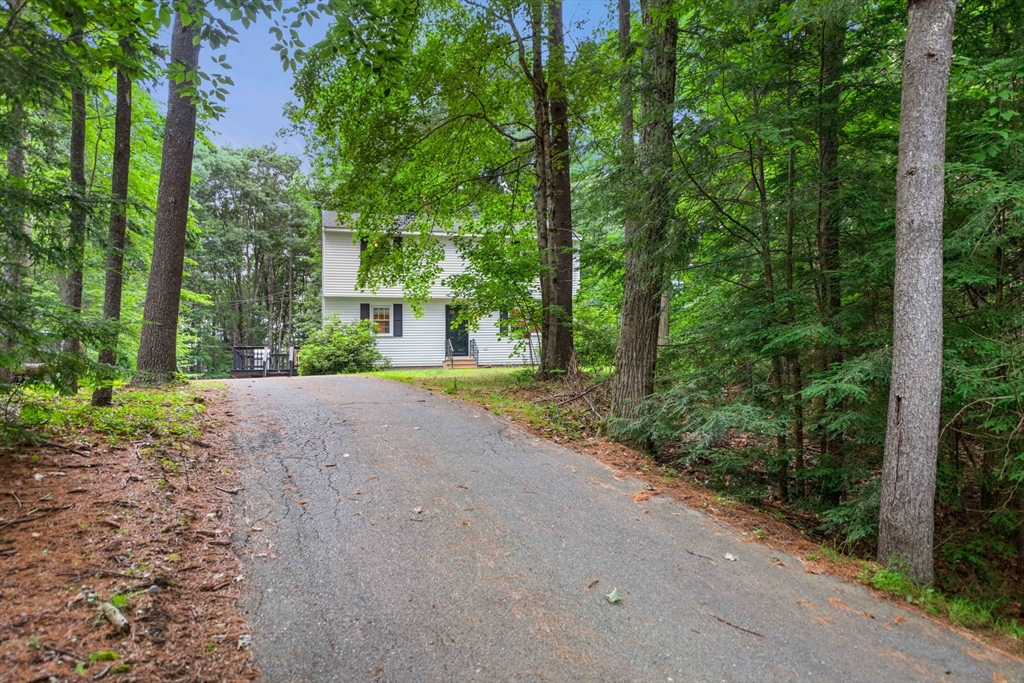 25 Holly Drive Gardner, MA 01440 - Photo 32 of 32 a view of a yard with plants and trees