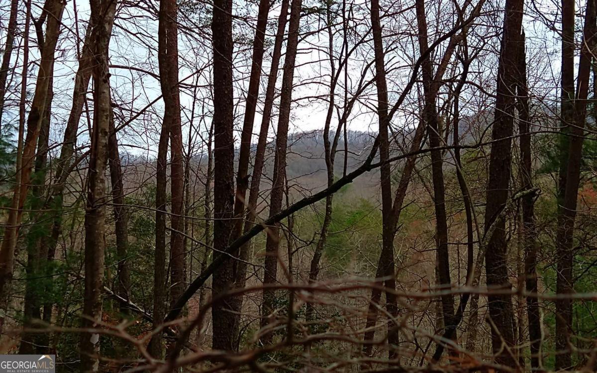 20-ac Hidaway Drive Blue Ridge, GA 30513 - Photo 4 of 7 a backyard of a house with lots of green space and outdoor seating