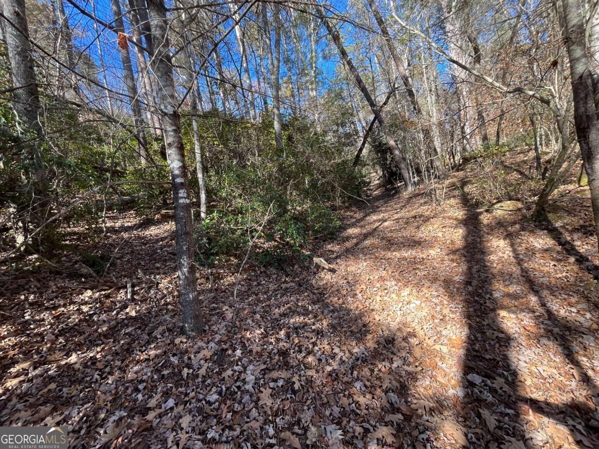 20-ac Hidaway Drive Blue Ridge, GA 30513 - Photo 5 of 7 a view of a yard