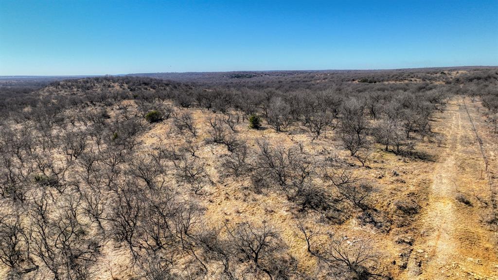 281 S Highway Perrin, TX 76486 - Photo 3 of 11 a view of a dry yard with wooden floor and fence