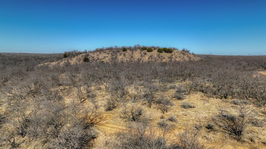 281 S Highway Perrin, TX 76486 - Photo 7 of 11 a view of a dry yard with mountains in the background