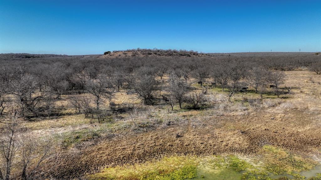 281 S Highway Perrin, TX 76486 - Photo 9 of 11 a view of a dry yard with trees