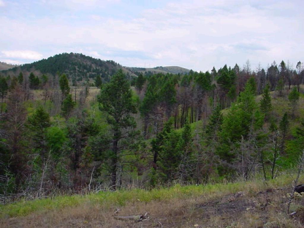 Tbd Upper Ross Gulch Road Townsend, MT 59644 - Photo 1 of 1 Gallery Image 1