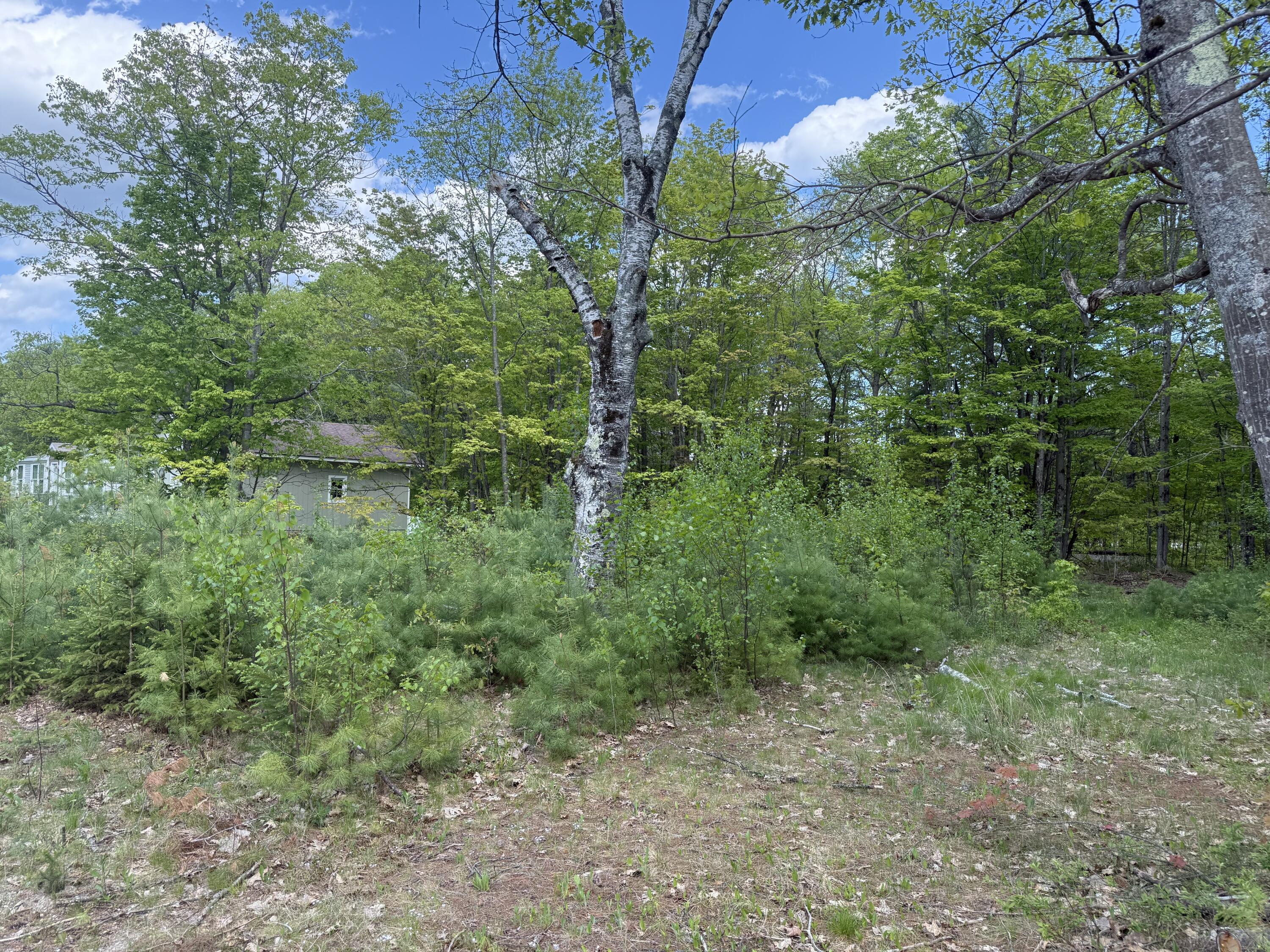 190 Barker Road Bethel, ME 04217 - Photo 3 of 11 IMG_3898