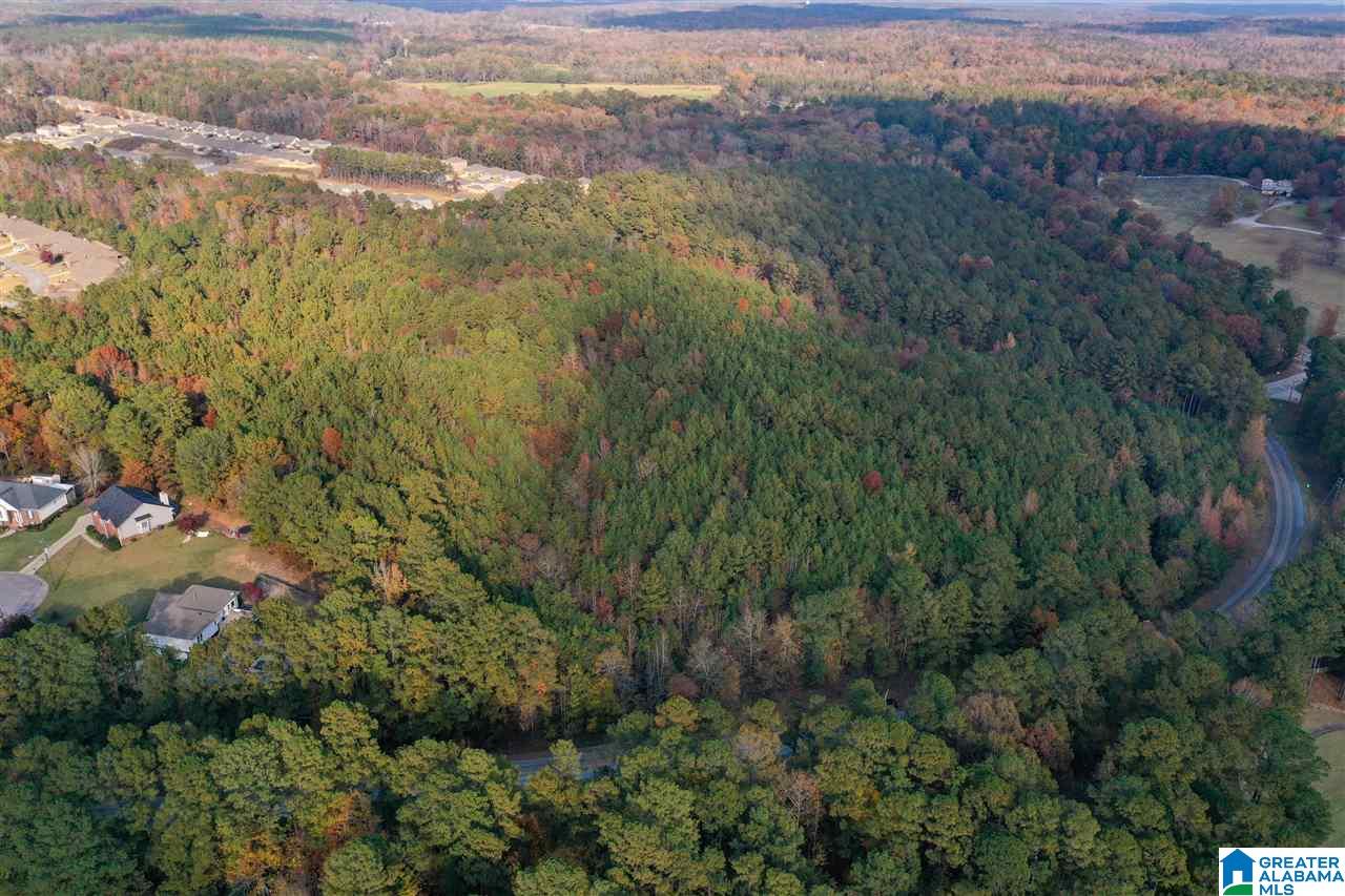 0 County Road 306 Calera, AL 35040 - Photo 5 of 9