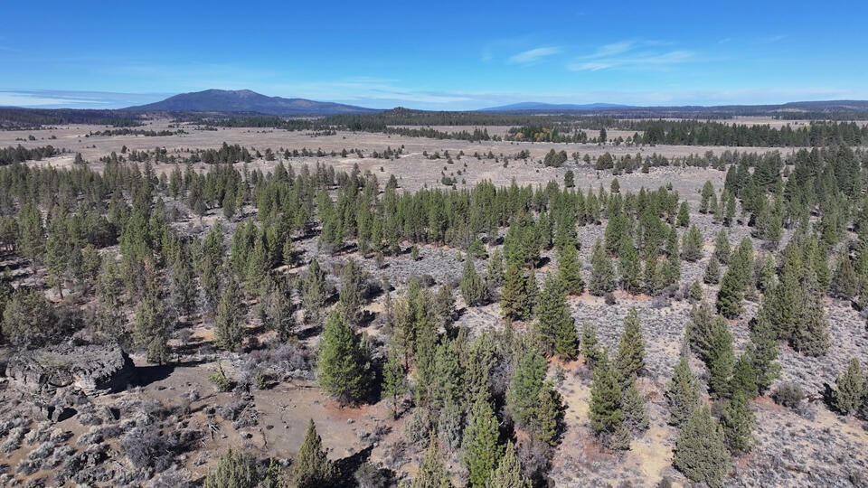 Oregon Pines Road, Unit TL 600 Sprague River, OR 97639 - Photo 12 of 52 12