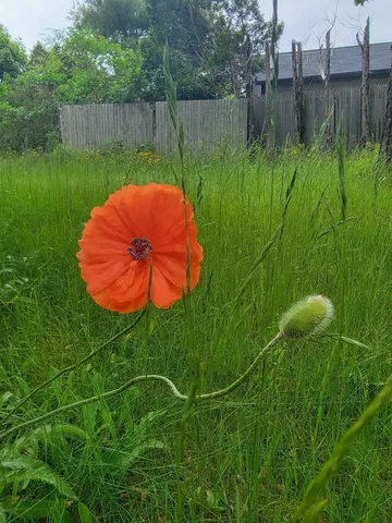 $390,000 | 17 Otter Creek Drive, Mount Desert, ME 04660