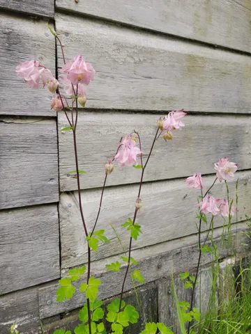 $390,000 | 17 Otter Creek Drive, Mount Desert, ME 04660