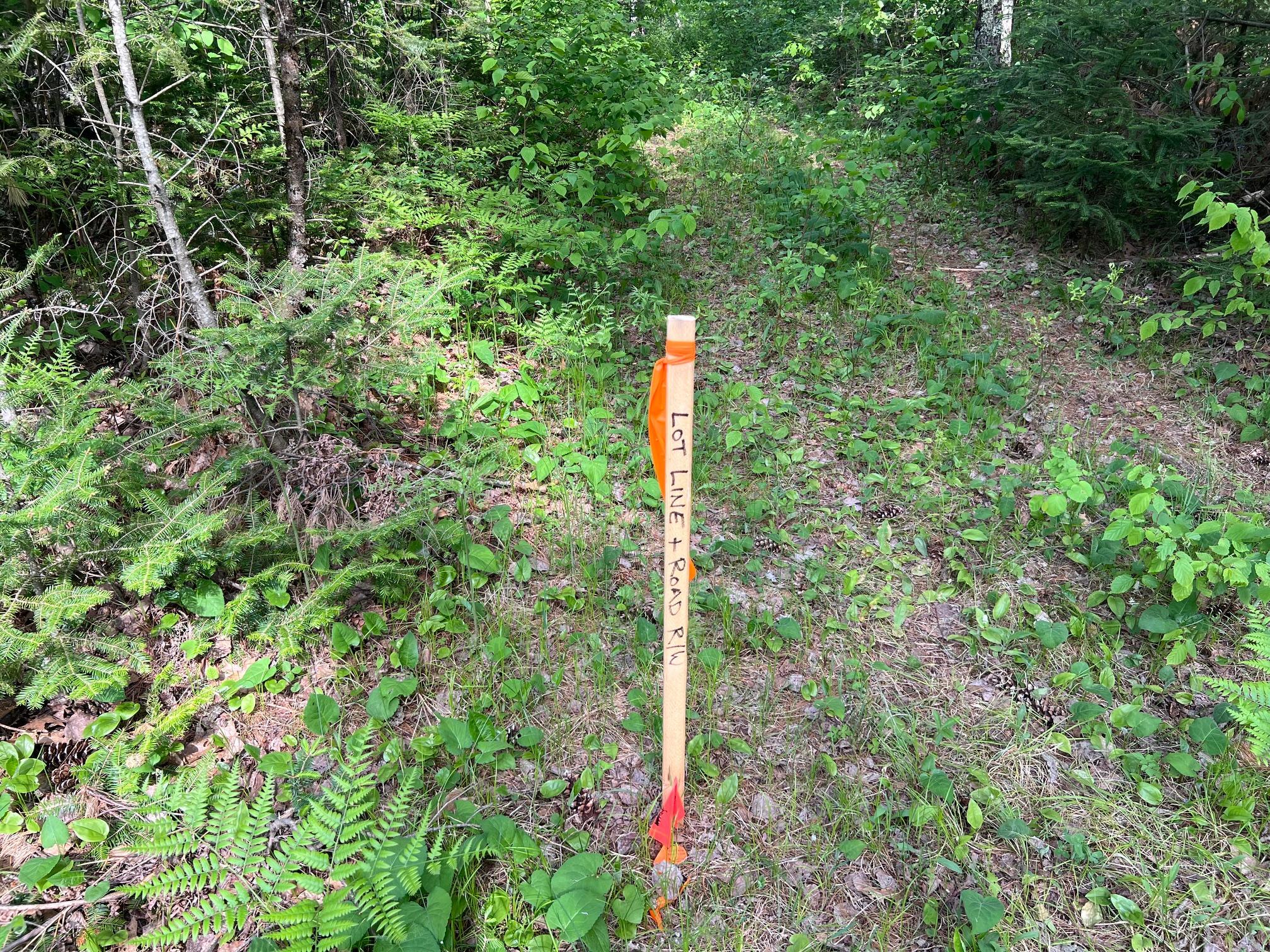 Lot 1 Smith Road North Couderay, WI 54828 - Photo 23 of 29