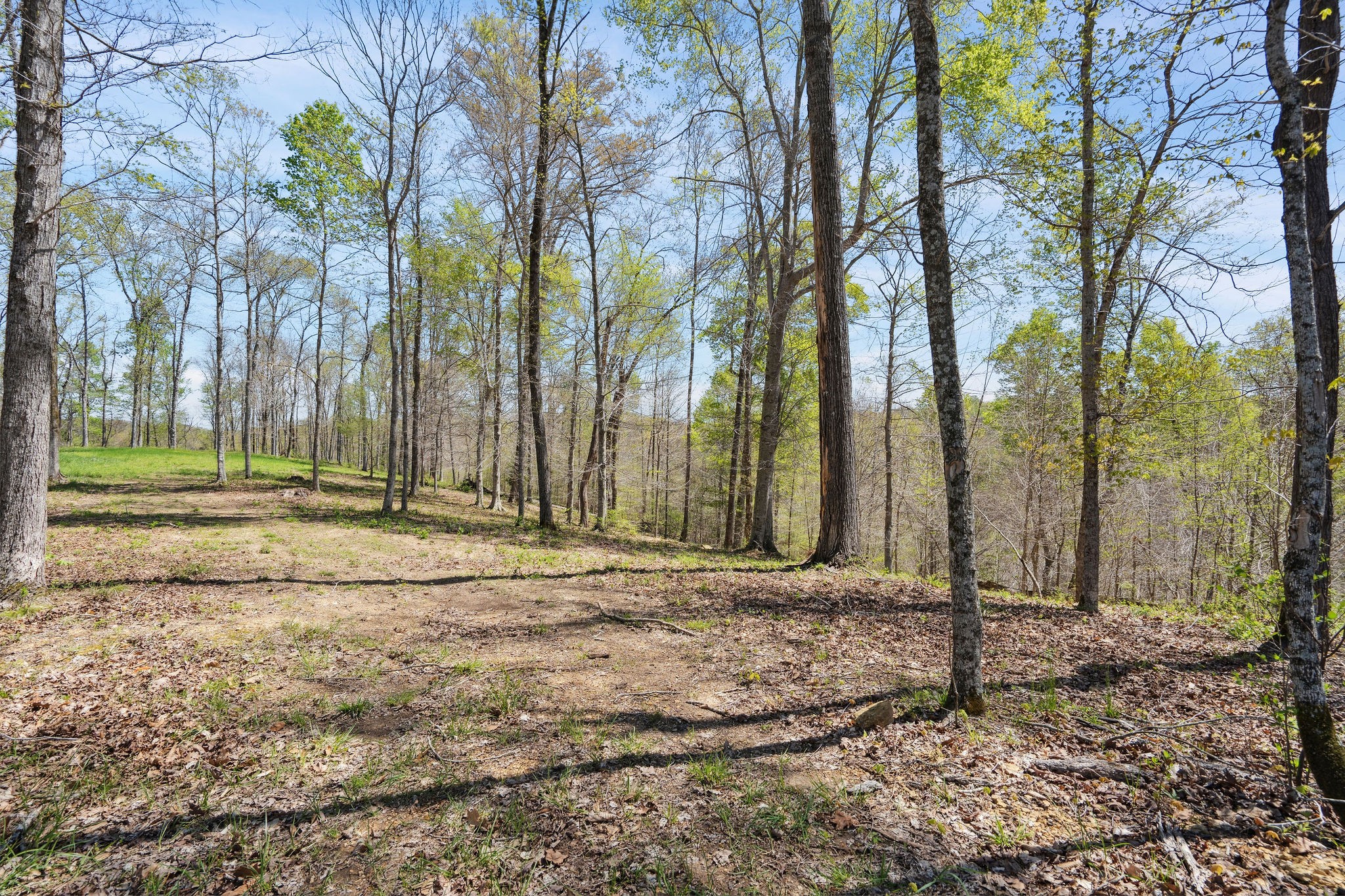 6016 Russell Ridge Lane Franklin, TN 37064 - Photo 11 of 26 Gallery Image 11