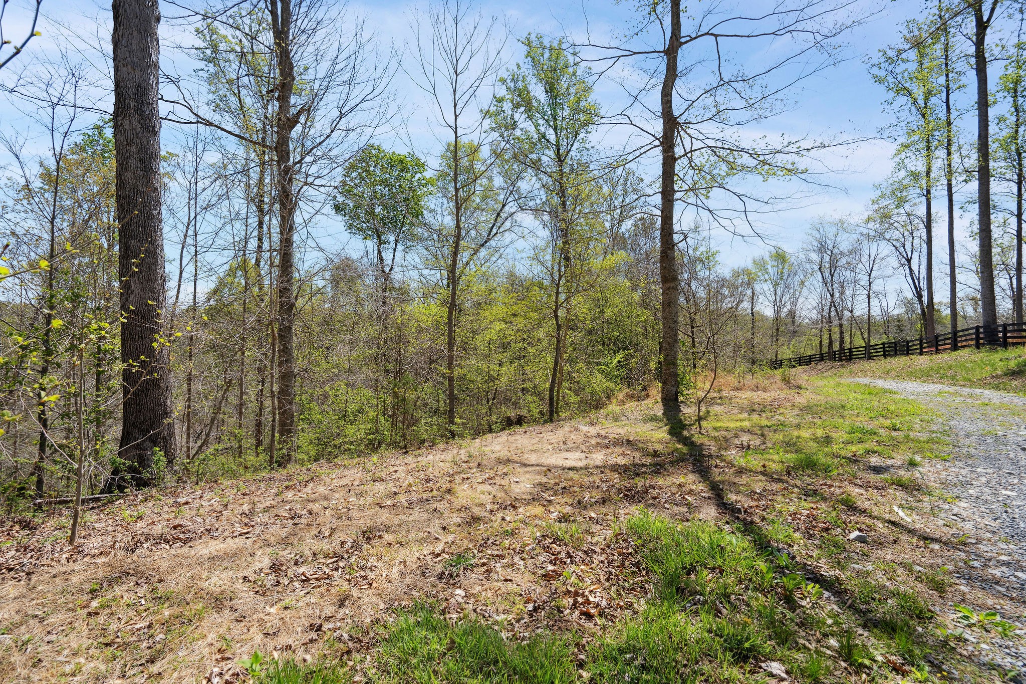 6016 Russell Ridge Lane Franklin, TN 37064 - Photo 7 of 26 Gallery Image 7