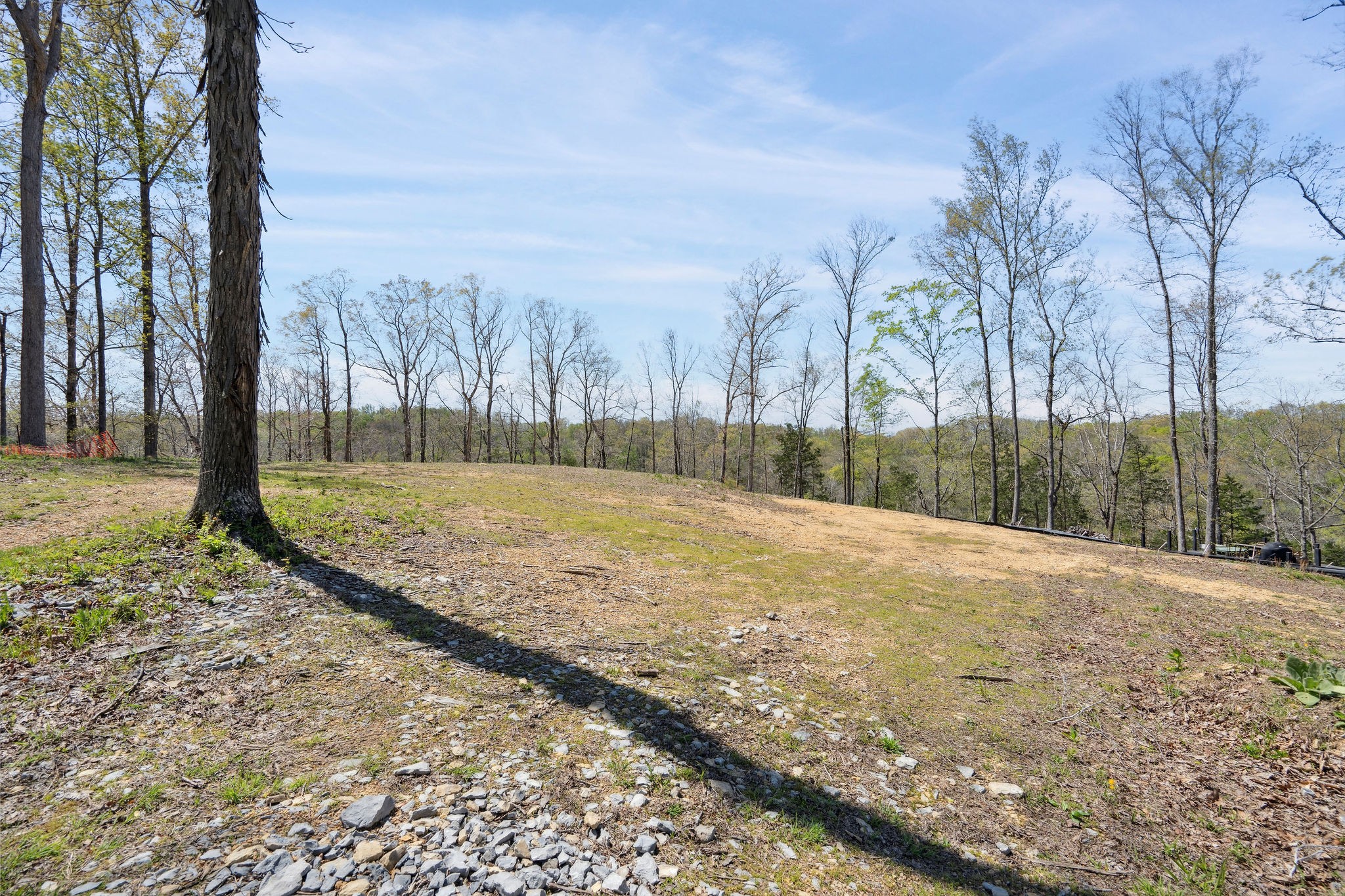 6016 Russell Ridge Lane Franklin, TN 37064 - Photo 9 of 26 Gallery Image 9
